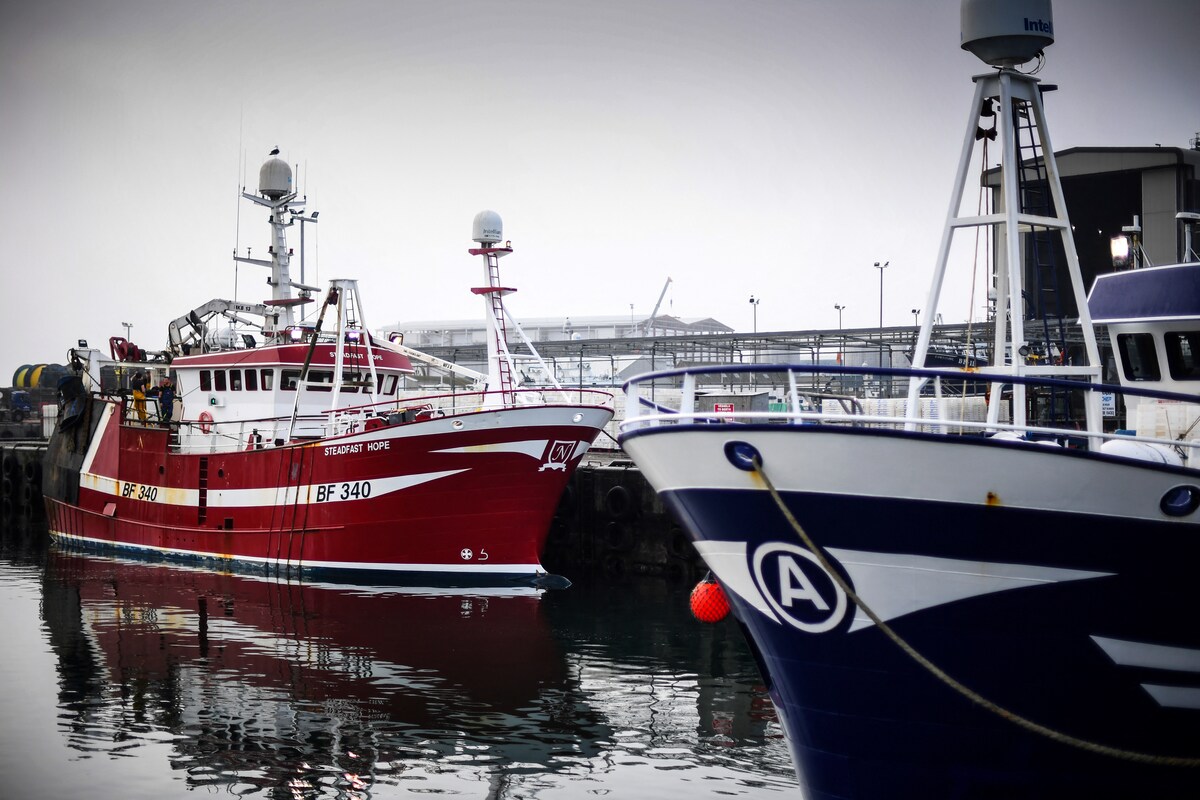 A Peterhead, les pêcheurs dans la tempête du Brexit et de l'inflation