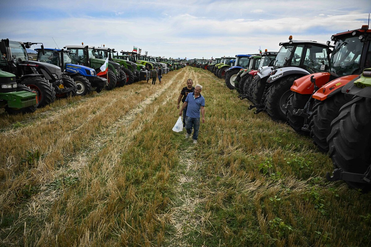 Les céréaliers français appellent à revoir les règles du commerce international