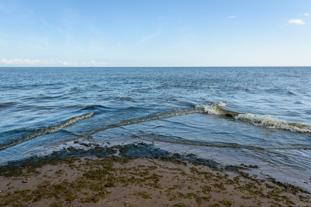 Des chercheurs détectent une énorme émanation de méthane en mer Baltique