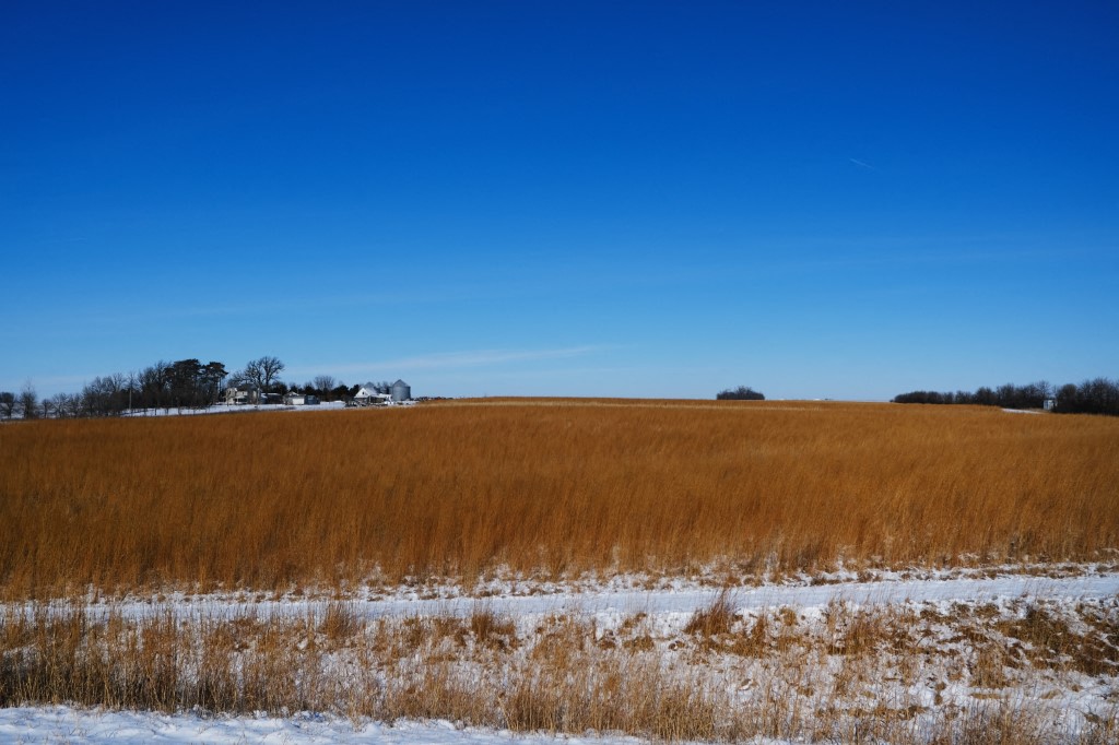 Un champ de blé photographié le 16 janvier 2020 à Emmetsburg, dans l'Iowa, un État essentiellement rural.(Photo Spencer Platt Getty Images AFP)