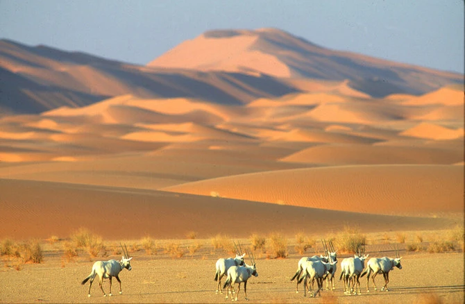 L'inscription de la réserve d’Uruq Bani Ma'arid par l'UNESCO souligne les efforts de l'Arabie saoudite