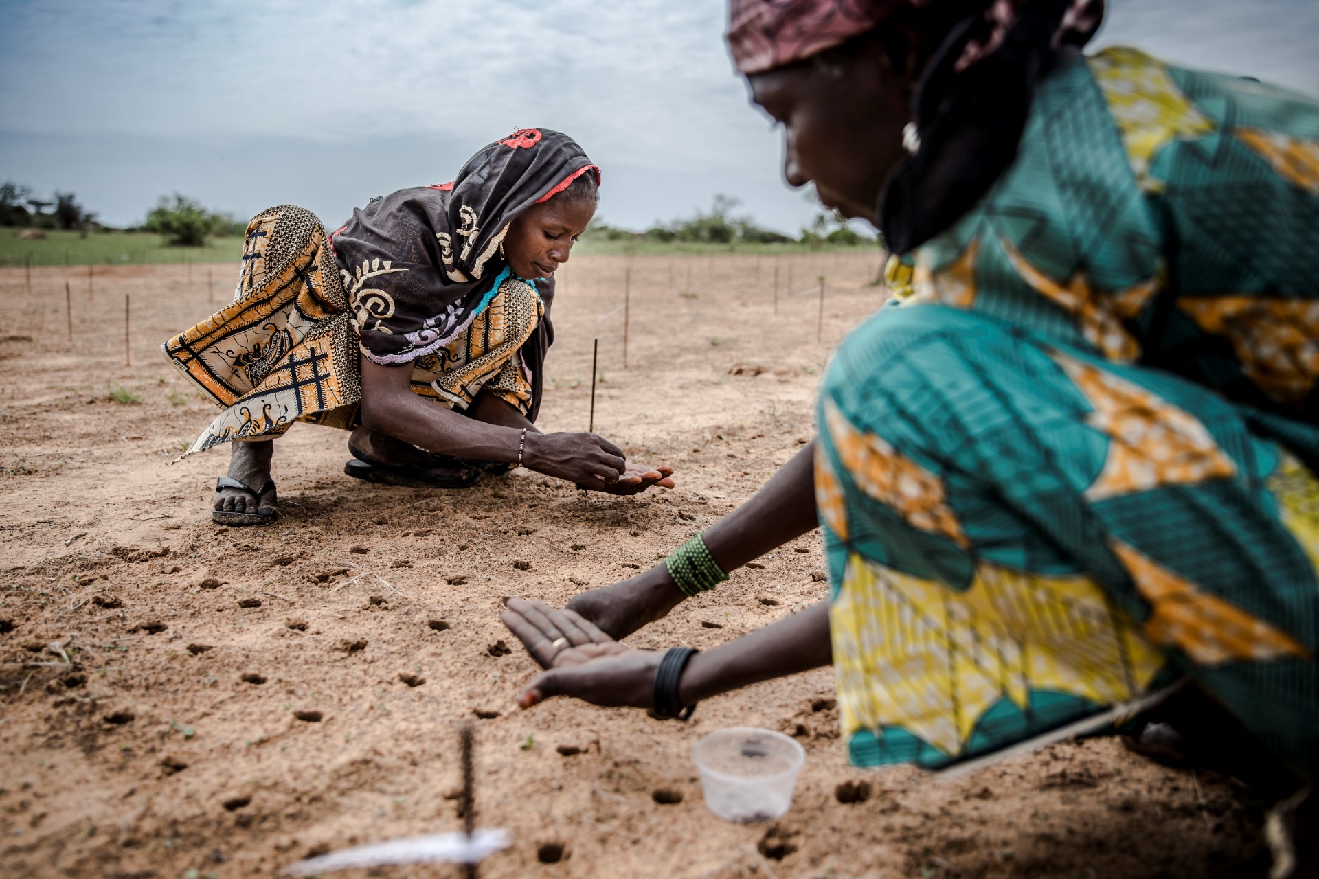 Une initiative de la FAO investit 6 milliards de dollars dans des projets prometteurs au Sahel