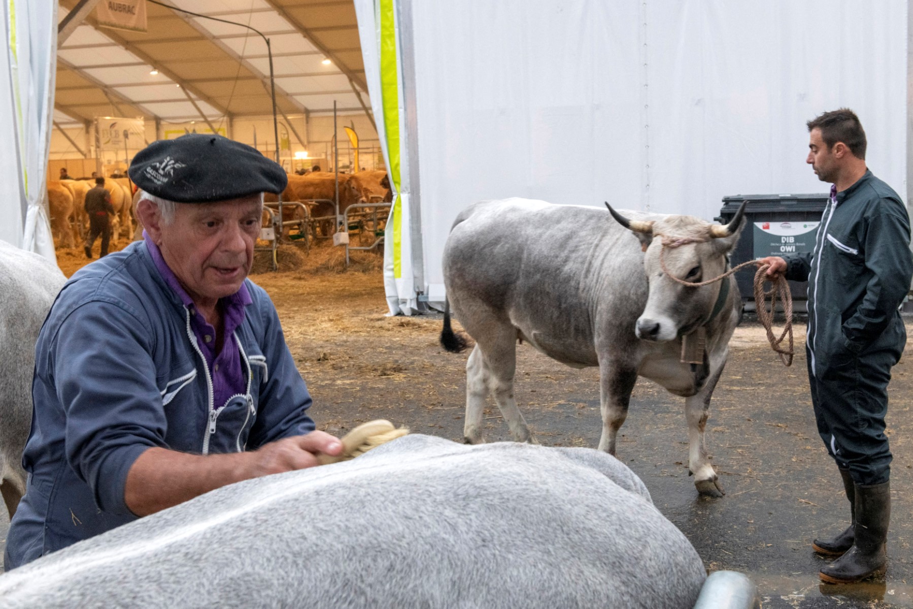 Le sommet de l'élevage se veut la «vitrine» de l'agriculture de demain
