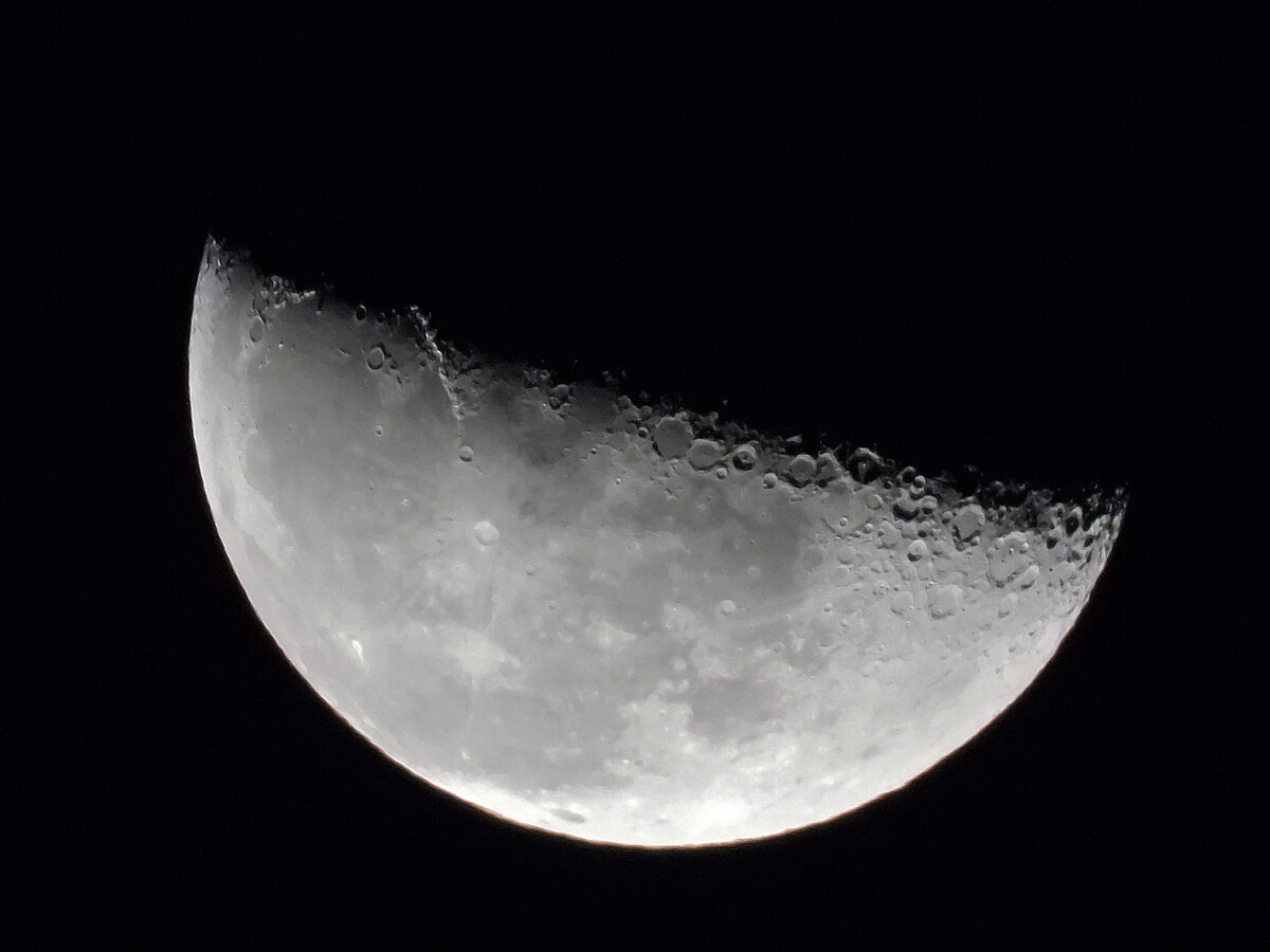 Des poissons sur la Lune? Une expérimentation française «très prometteuse»