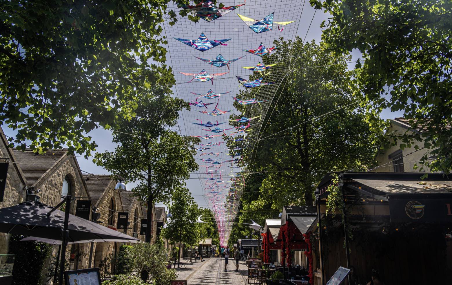 Planète océan - L'exposition gratuite de Yann Arthus-Bertrand et Brian Skerry à Bercy Village