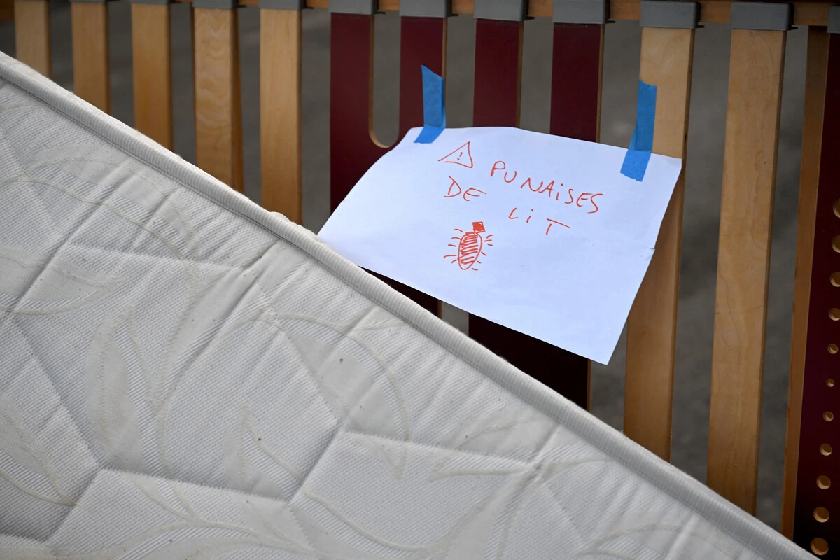 A l'Assemblée nationale, haro sur les punaises de lit