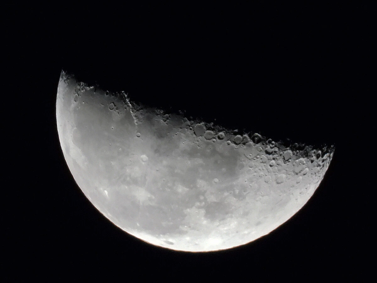 Des poissons sur la Lune? Une expérimentation française «très prometteuse»