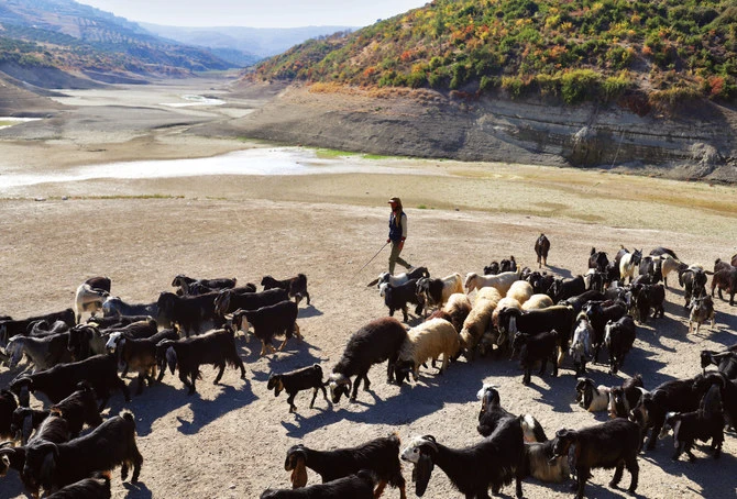 Comment la pénurie d'eau au Moyen-Orient perturbe l'agriculture et aggrave l'insécurité alimentaire
