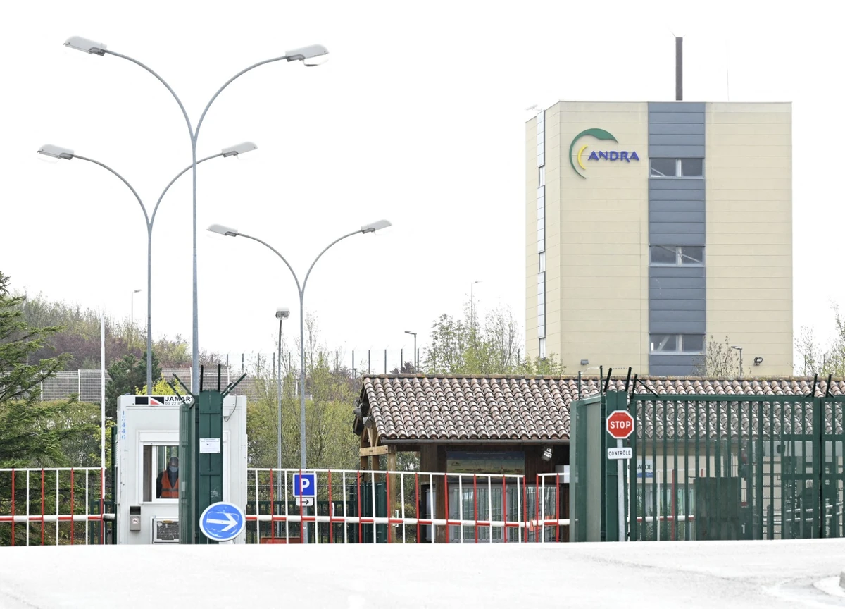 Déchets nucléaires enfouis: Le Conseil constitutionnel statue sur le droit des générations futures