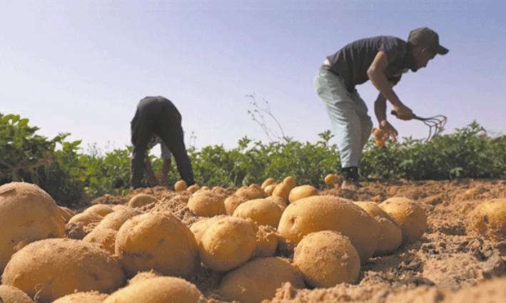 Situation économique en Algérie: Les bons points de la Banque mondiale