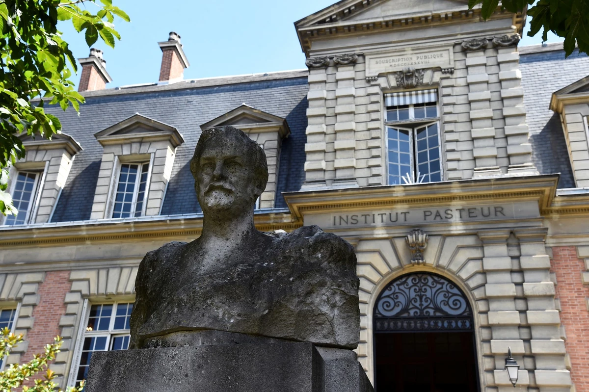 Vers la création en 2024 d'un Institut Pasteur au Japon