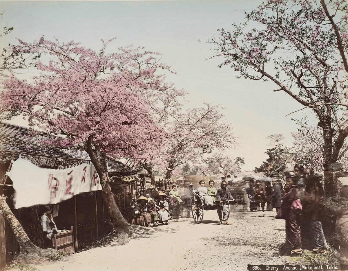 Le Japon en couleurs, photographies du XIXe siècle