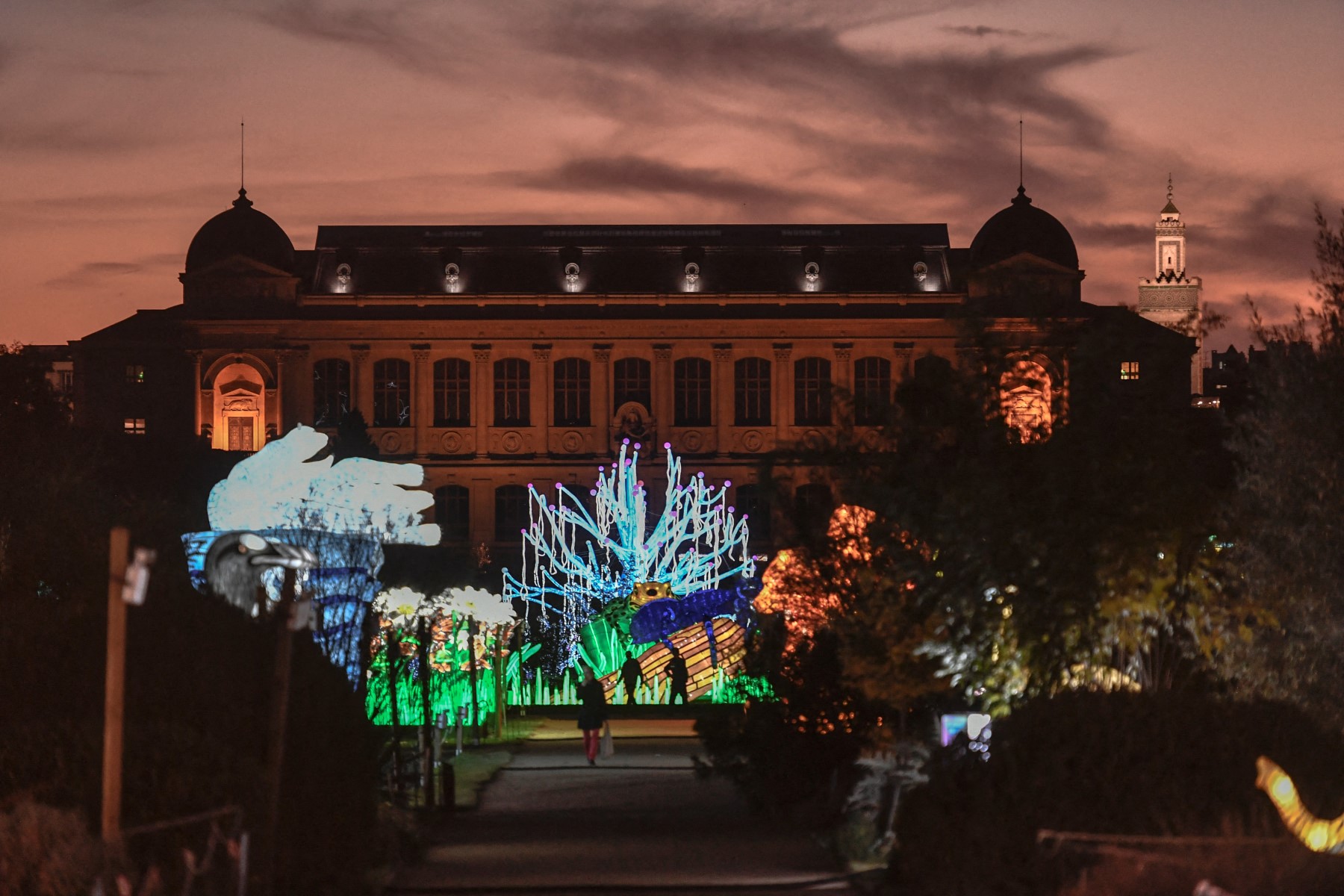 Automne tropical dans les grandes serres du Jardin des Plantes