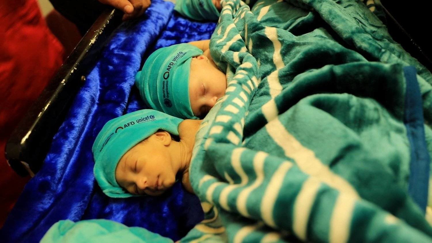 Nouveau-nés de l’hôpital al-Chifa: Des orphelins sans possibilité de retrouver leurs parents