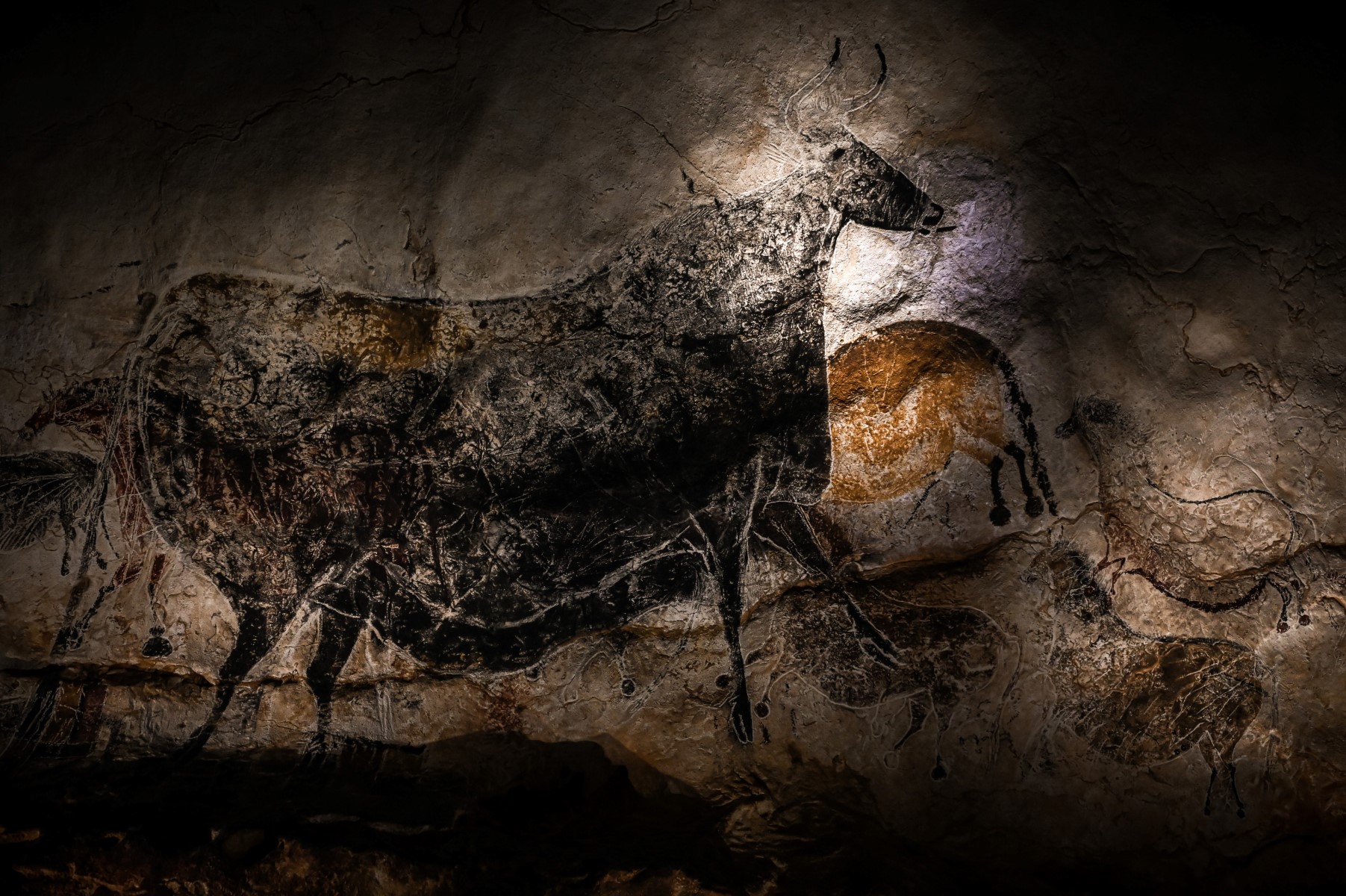 Préhistomania au Musée de l'Homme : L'expo événement autour de l'art rupestre à Paris