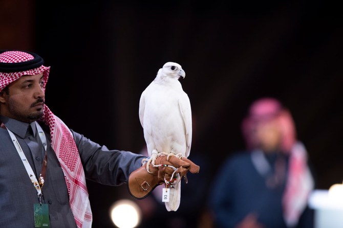 Ouverture des inscriptions pour la Falcon Cup historique d'AlUla