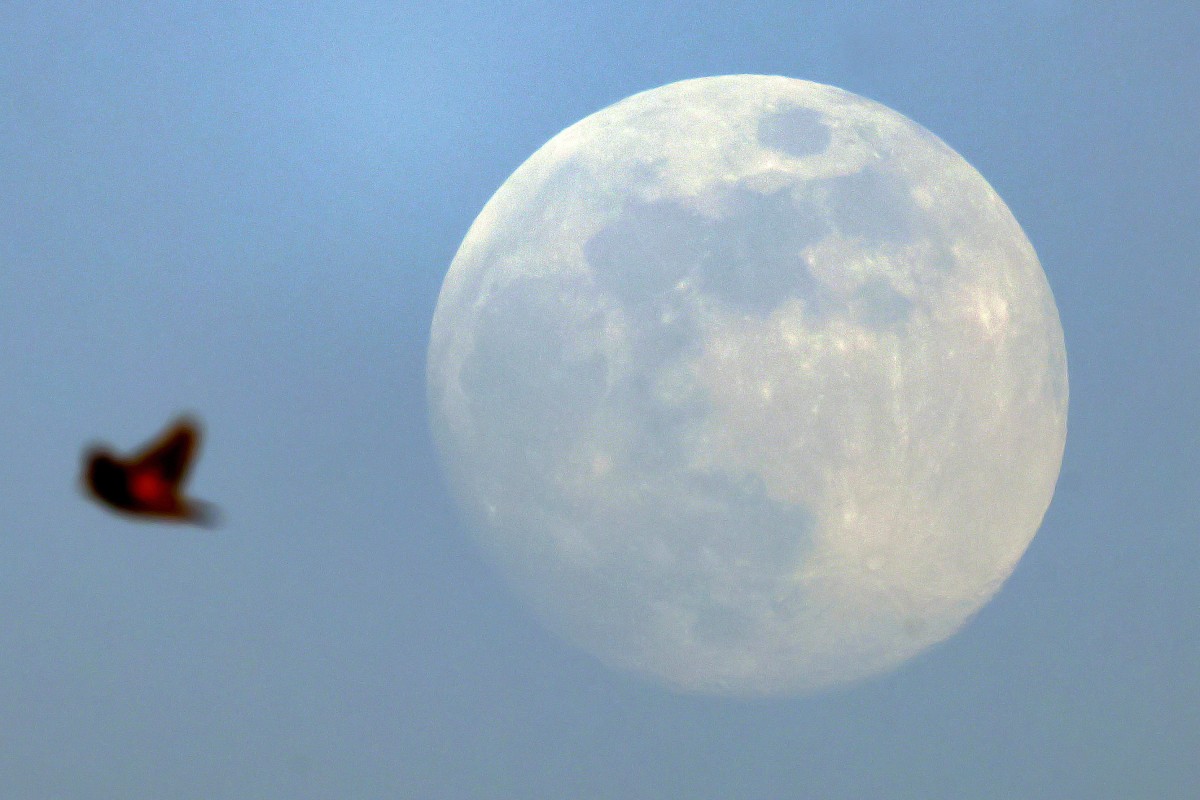 Espace: Un atterrisseur japonais est entré dans l'orbite de la Lune