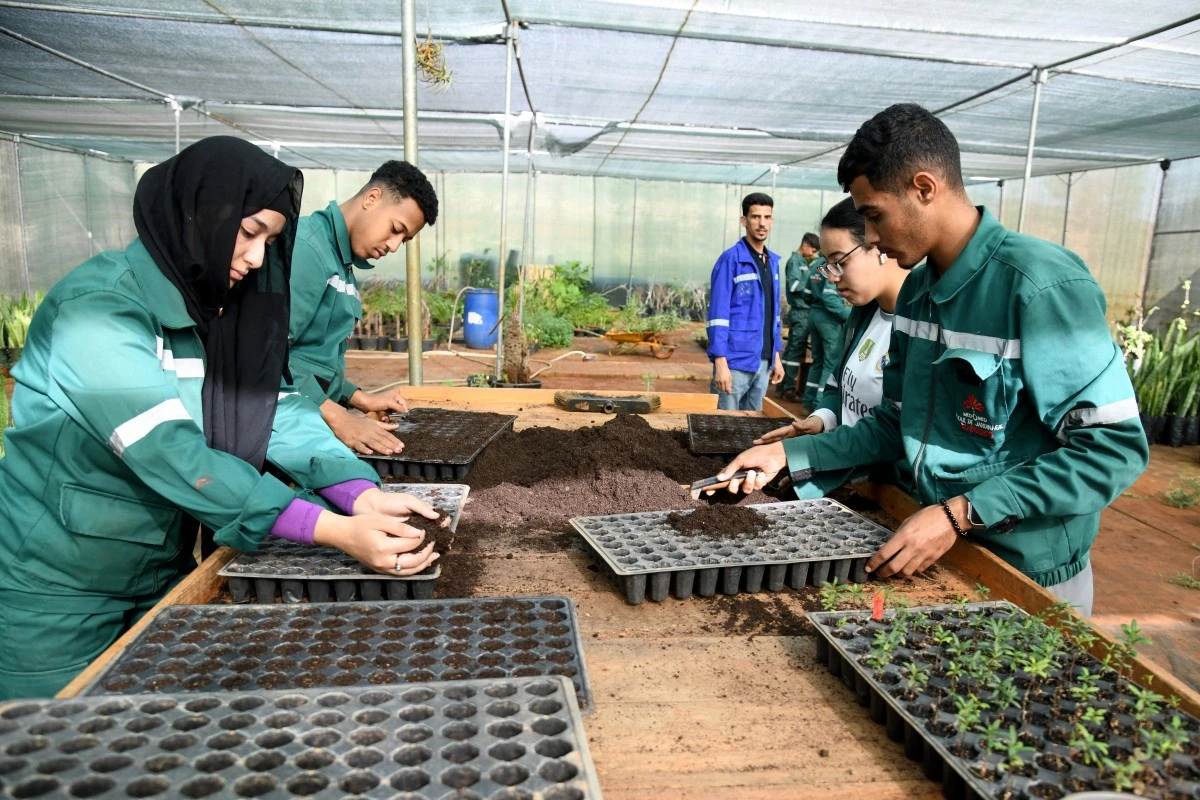 Au Maroc, une école de jardinage fait rimer inclusion et sensibilisation à l'écologie