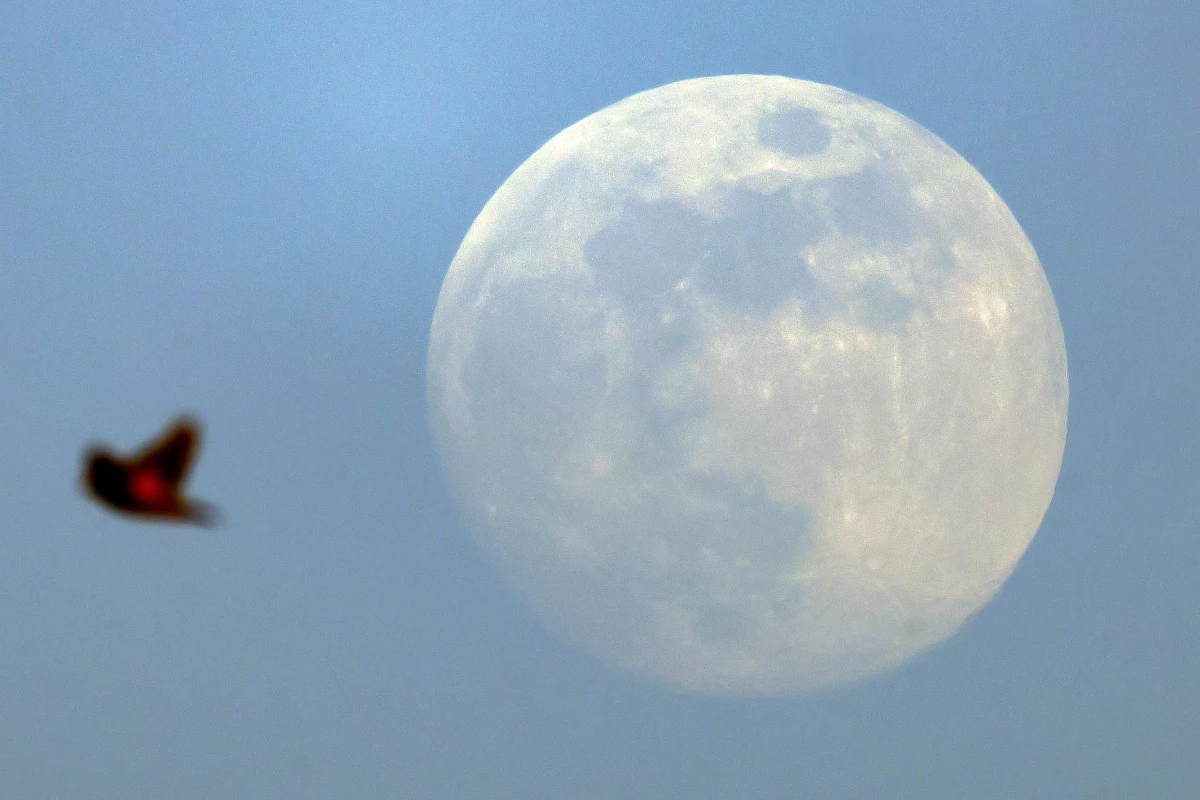 Espace: Un atterrisseur japonais est entré dans l'orbite de la Lune