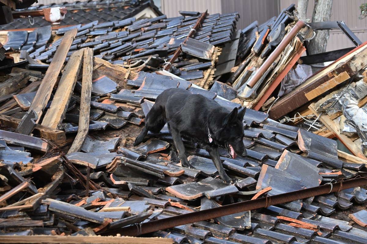 Séisme au Japon: Des secouristes et des chiens à la recherche de survivants à Wajima