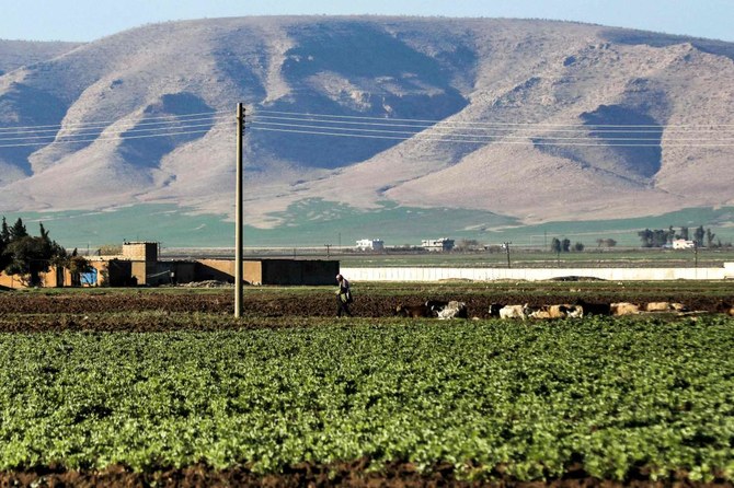 Un berger mène son troupeau près d'une parcelle de terre agricole dans la région de Qamishli, dans le nord-est de la Syrie, le 14 décembre 2023. (AFP)