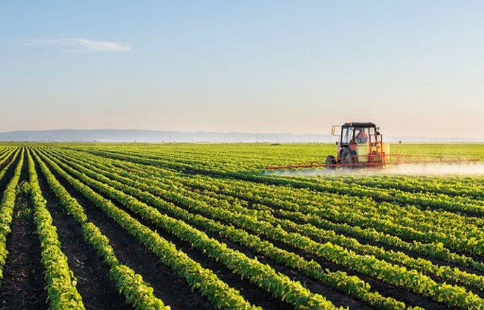 Algérie: programme quinquennal 2025-2030 dédié au secteur agricole