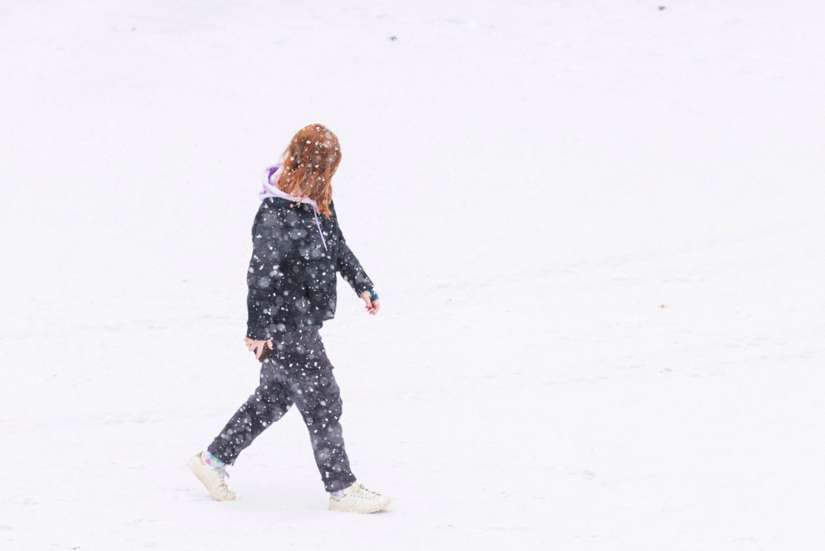 Début d'un épisode de froid, les pouvoirs publics vigilants