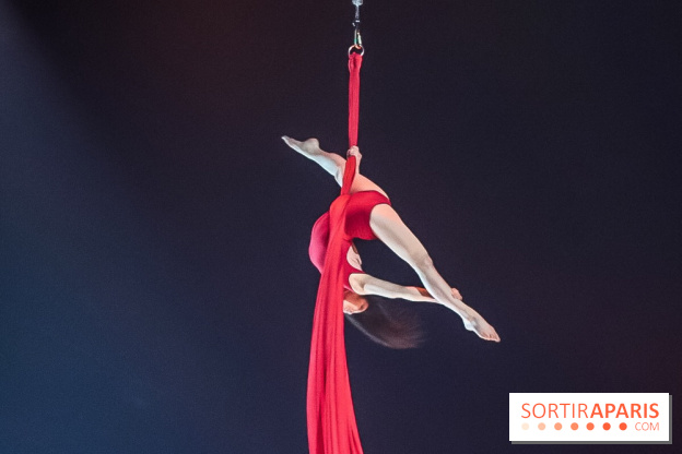 Le Festival Mondial du Cirque de Demain 2024