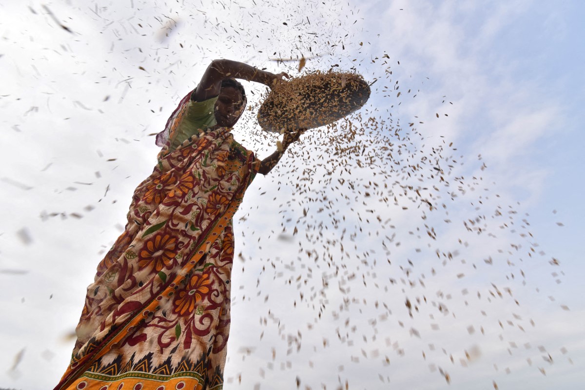 L'eau de riz, astuce beauté d’origine asiatique, devient virale sur TikTok