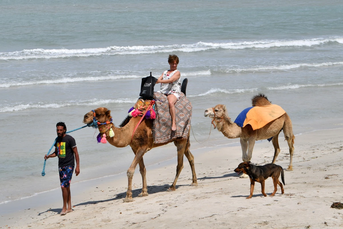 Tourisme en Tunisie: Une année 2023 globalement positive