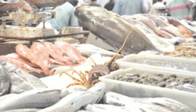Aquaculture en Tunisie: Le poisson dans tous ses états