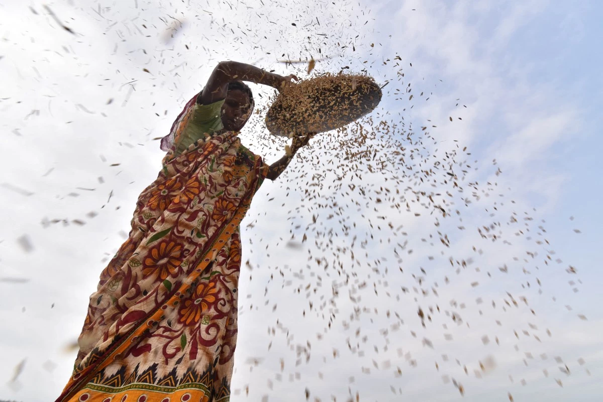 L'eau de riz, astuce beauté d’origine asiatique, devient virale sur TikTok