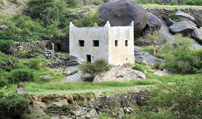 Les bâtiments historiques de la région d'Asir, témoins éloquents d'un riche patrimoine