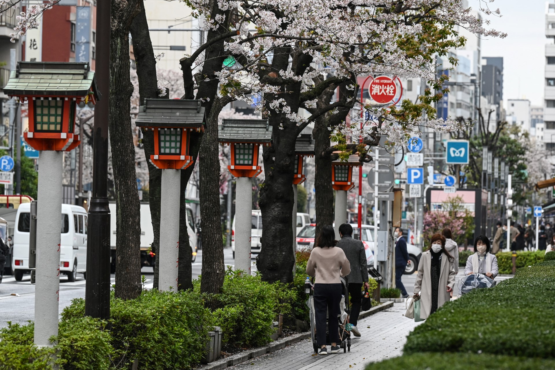 Au Japon, le nombre de naissances continue de chuter
