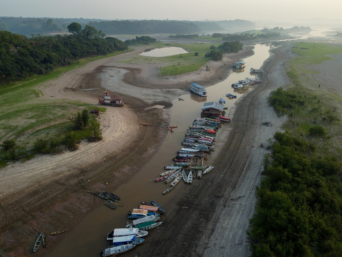 La forêt amazonienne pourrait franchir «un point de rupture» d'ici 2050, selon une étude