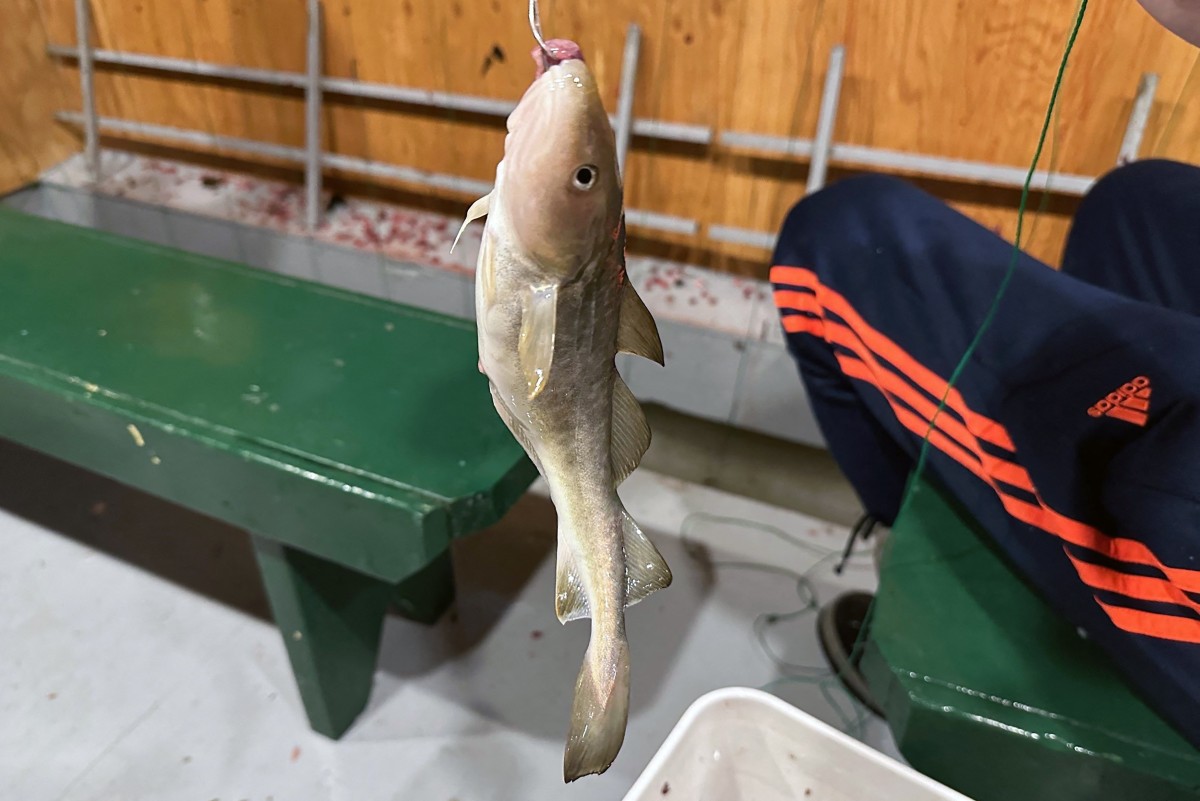 Au Québec, la pêche sur glace perturbée par un hiver moins froid