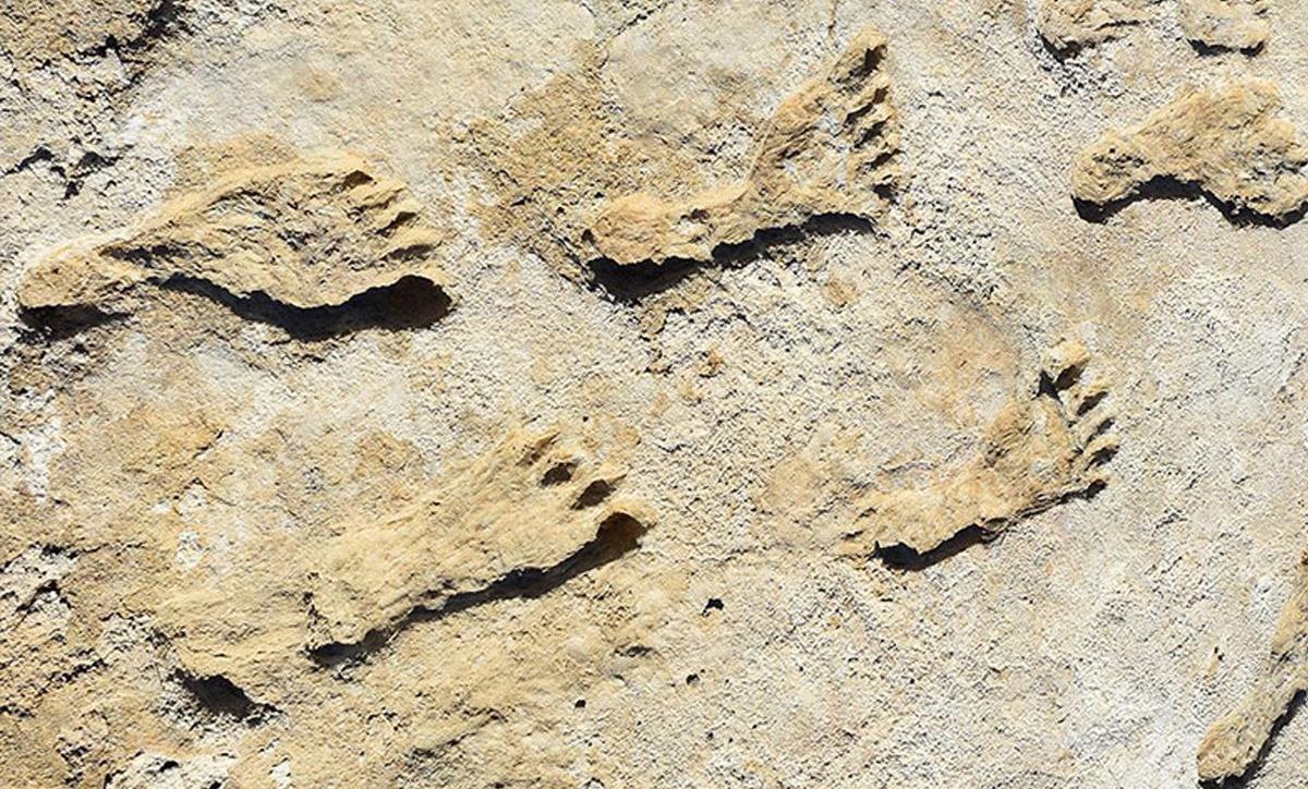 Découverte au Maroc d'empreintes humaines datant de plus de 100 000 ans
