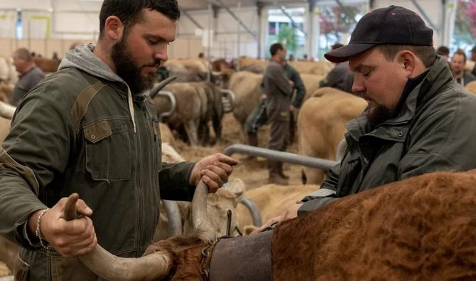 Réduire de 50% la consommation de viande permettrait d'atteindre les objectifs climatiques, selon une étude