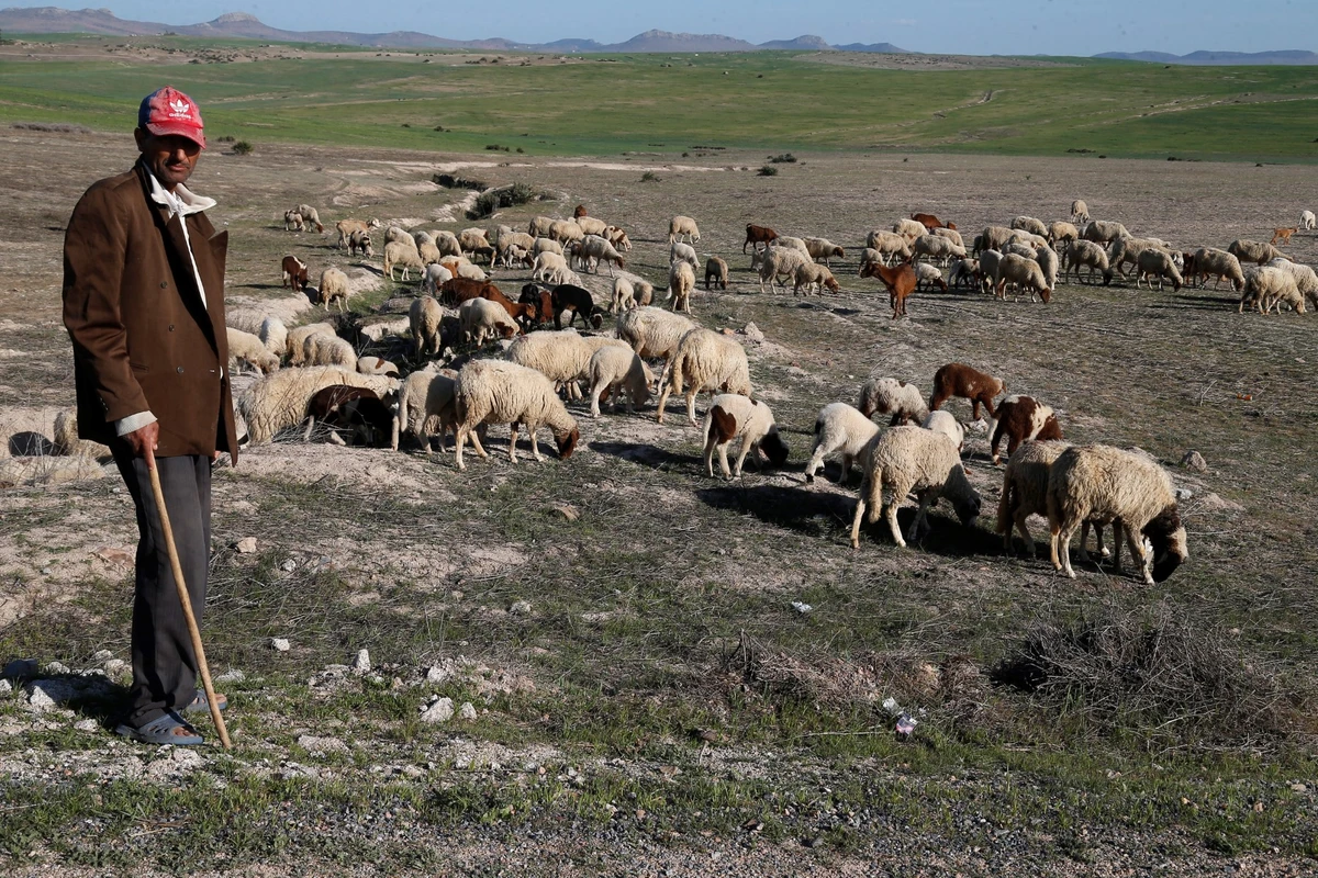 Records de chaleur en plein hiver au Maroc