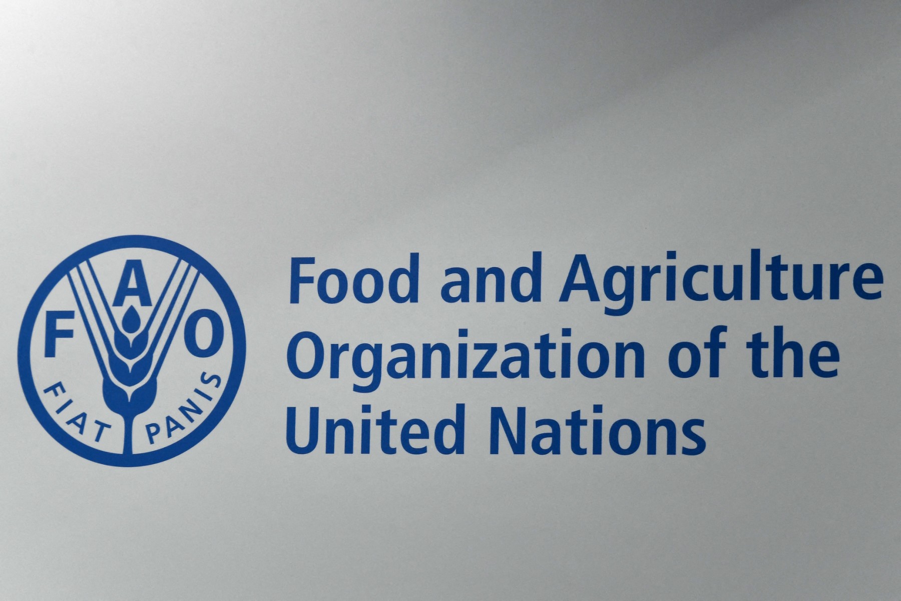 Les prix alimentaires mondiaux rebondissent en mars selon la FAO