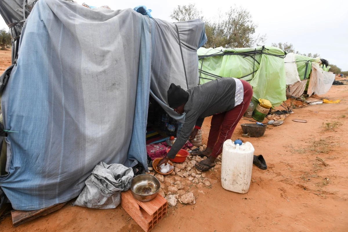 En Tunisie, des migrants survivent dans des champs d'oliviers en lorgnant l'Europe