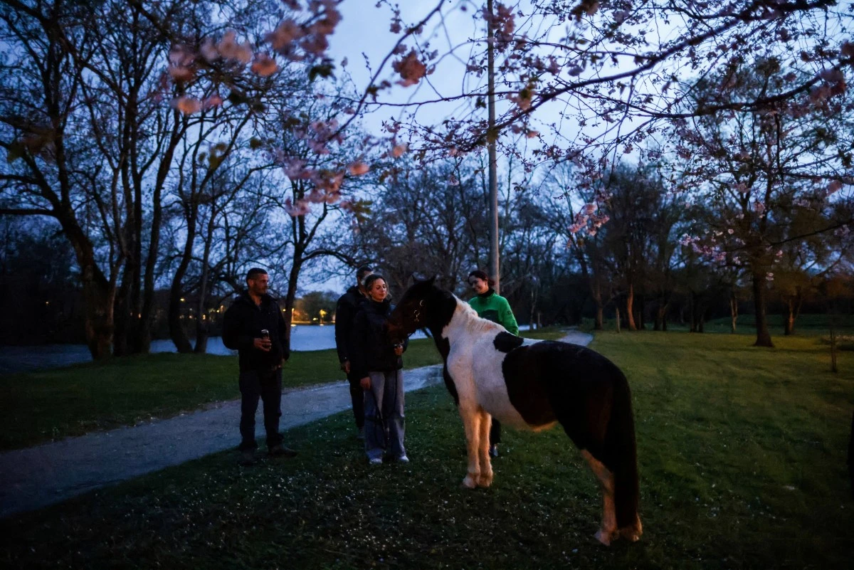 A Angoulême, un poney redonne le sourire aux sans-abri