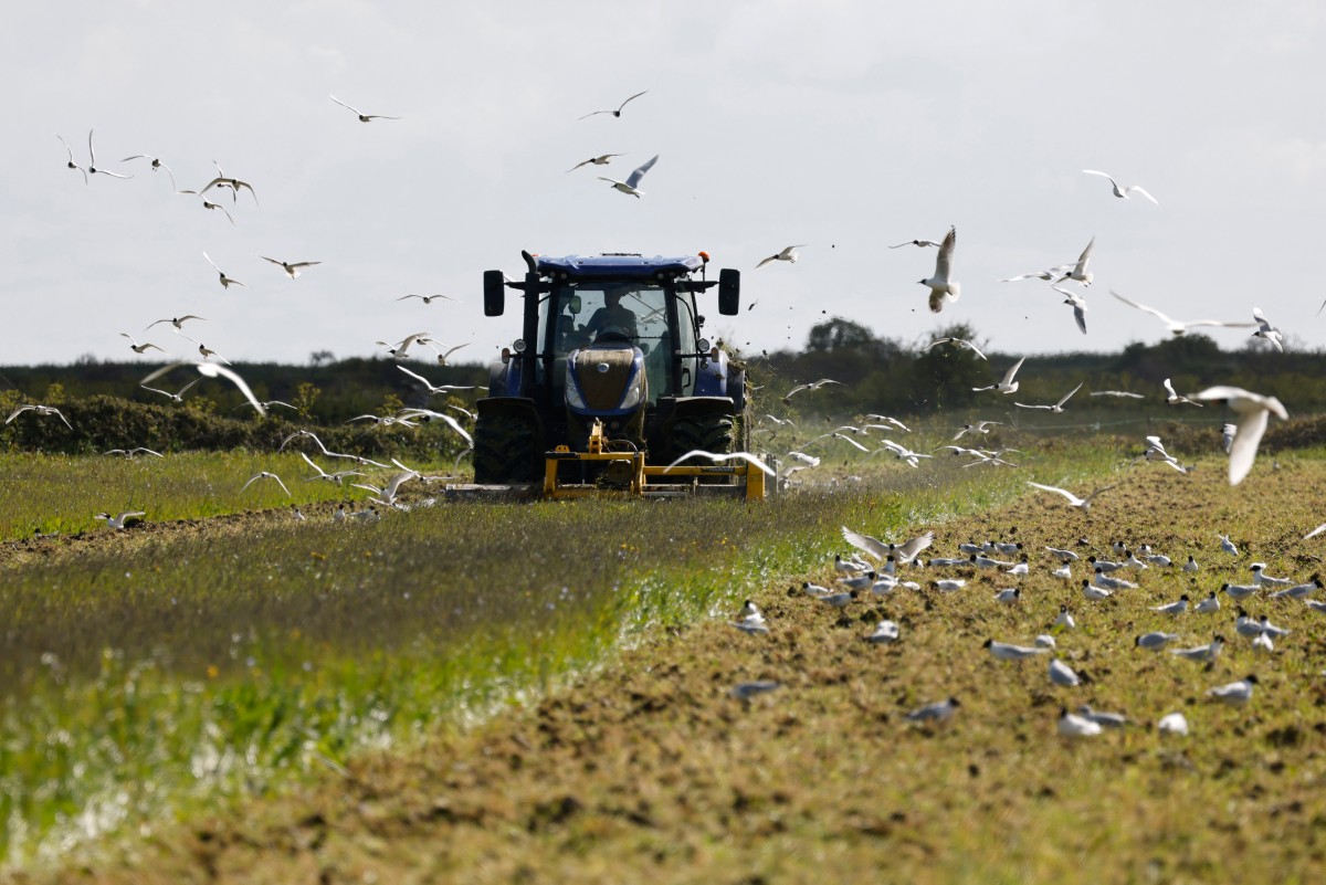 Les députés érigent l'agriculture en « intérêt général majeur »