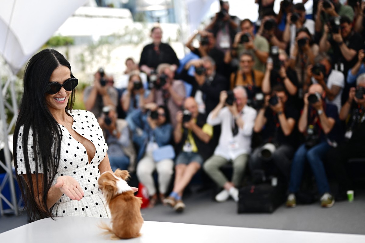 Un Festival de Cannes qui a du chien