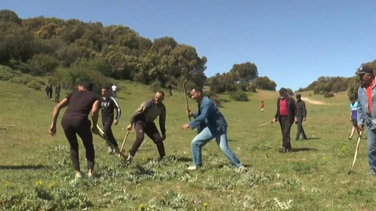 Algérie: entre hockey et croquet, un jeu traditionnel pour fêter le printemps