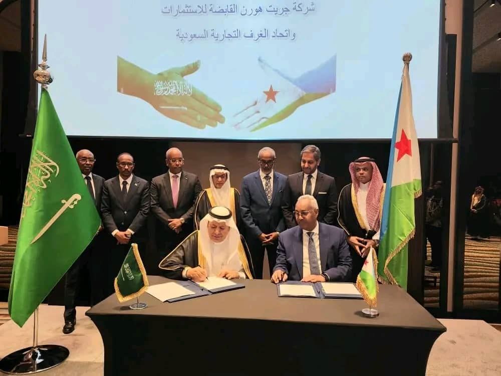 Djibouti, prochaine ville logistique du continent africain