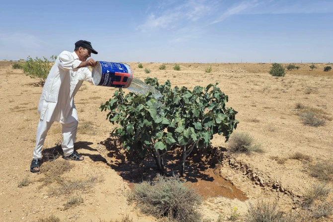 Libye: jadis fertile, une zone montagneuse en proie au dérèglement climatique