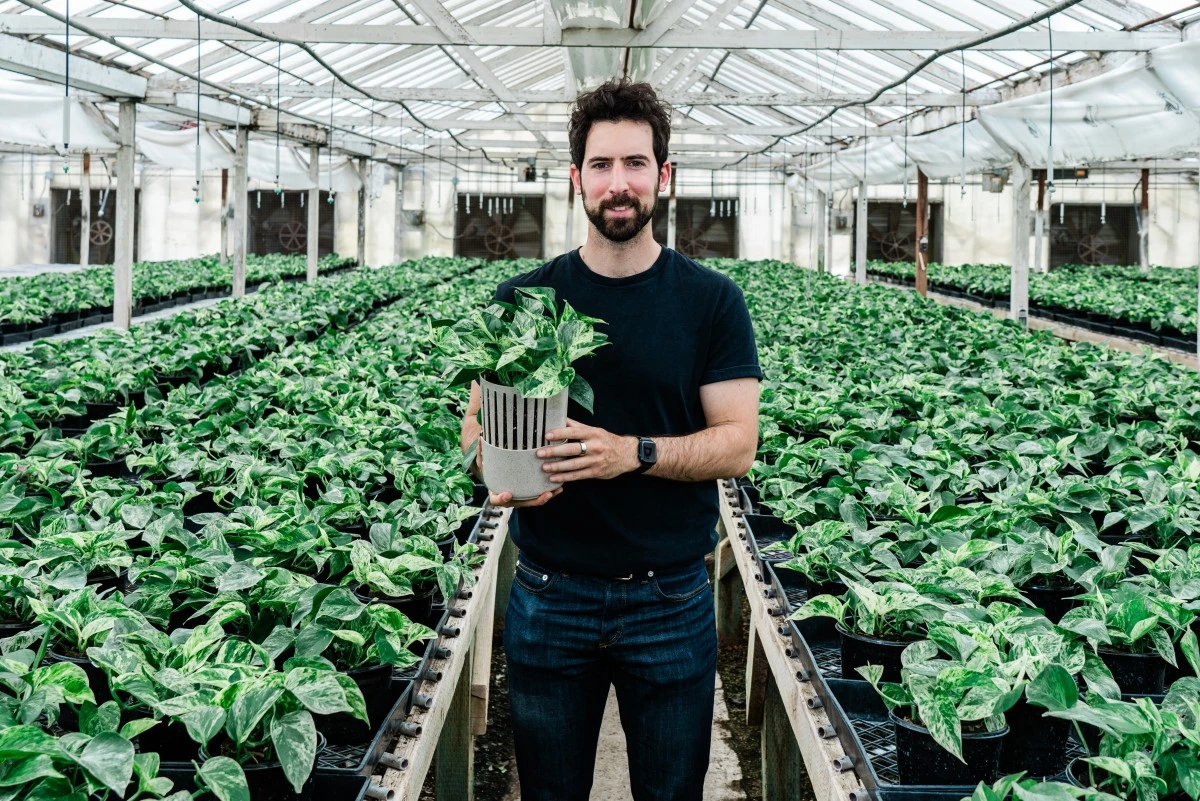 Une plante qui en vaut trente pour purifier l'air des molécules toxiques