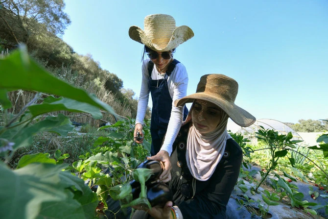 En Algérie, dans un milieu d'hommes, deux pionnières de l'agriculture bio