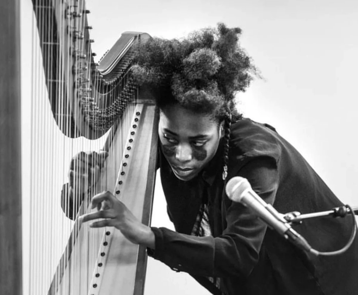 Les cordes sensibles de Sophye Soliveau, harpiste soul